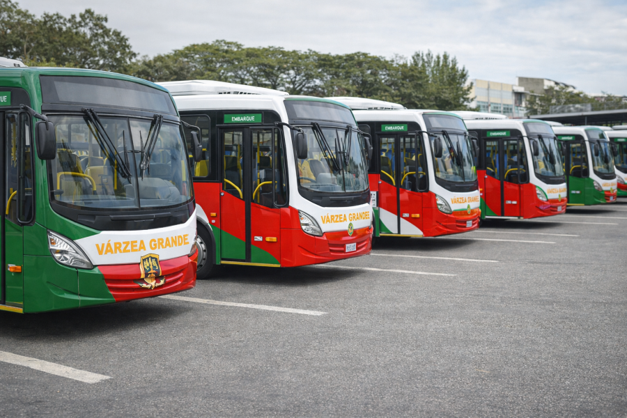 LEI DOS 5 ANOS DOS ÔNIBUS